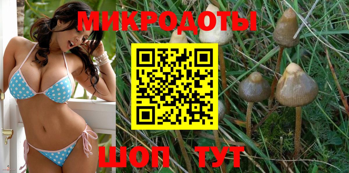 Псилоцибиновые грибы Magic Shrooms  Вход с VPN  Чернушка 